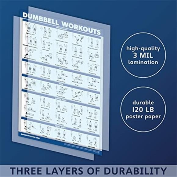 3 Pack Laminated Palace Learning Dumbbell and Body Weight Exercise Poster 18x24" - Picture 3 of 6